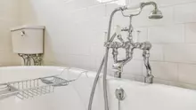 A crezut că a găsit un elastic de păr uitat în cadă, dar când s-a apropiat nu i-a venit să creadă: „Avea ochi și se uita la mine”