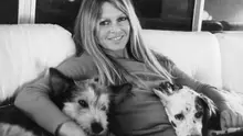 Brigitte Bardot a murit. Celebra actriță franceză avea 91 de ani