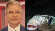 Cum arată mușcătura de pește-iepure, pericolul de pe litoralul grecesc 😮 Prezentatorul TV Marius Niță a publicat o imagine cu rana provocată de această specie / FOTO