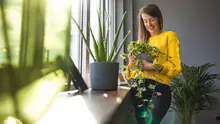Ce este răcirea pasivă și cum poate reduce temperatura din locuințe fără să folosești aerul condiționat