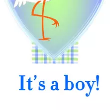 It's a boy!