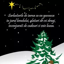 Sarbatorile de iarna...