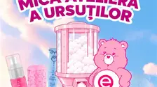 Ursuleții essence pornesc la drum și ajung la Timișoara!