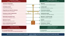 Oboseala decizională, „motorul” invizibil al obiceiurilor nesănătoase: de ce alegem greu ceea ce ne face bine?