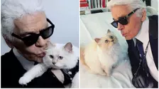 Choupette, celebra pisică a lui Karl Lagerfeld, în pragul falimentului! Ce s-a întâmplat cu moștenirea de 1.5 milioane de euro, lăsată de designer