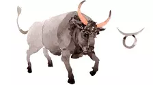 Horoscop anual 2027 Taur. Previziuni pentru zodia Taur, în 2027