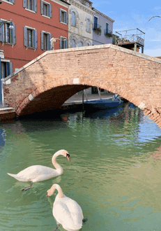 Screenshot-2020-03-18-at-14.21.14