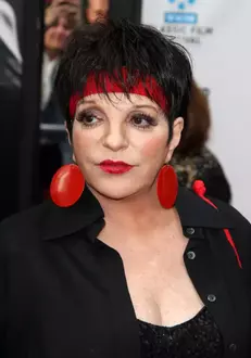 Liza-Minnelli-10-749×1024-1