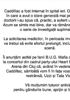 mesaj-bug-mafia