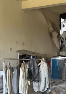 irinel columbeanu poze