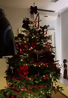 andreea-esca-familie3