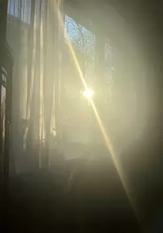 semn-primit-de-oana-pellea