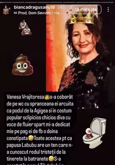 bianca dragusanu story