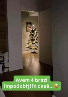 Mirela Vaida brad de Crăciun