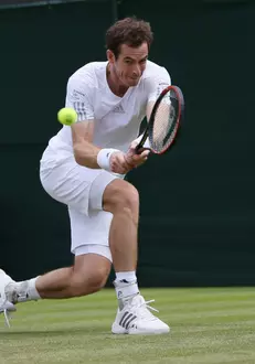 Andy Murray