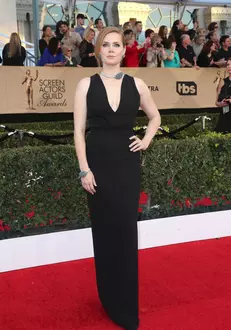 Amy Adams – Rochie Brandon Maxwell