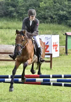 Transylvania Horse Show