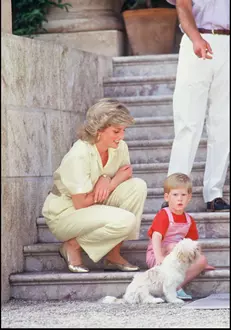 Prinţesa Diana şi Prinţul Harry