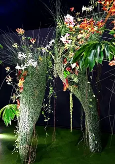 Singapore Garden Festival