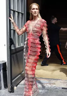 Céline Dion și-a șocat fanii cu o rochie transparentă care lăsa totul la vedere.