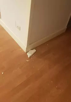 Irina Radu a postat câteva fotografii cu urmările cutremurului puternic din Albania, din locuința sa