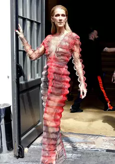 Celine-Dion-7-683×1024