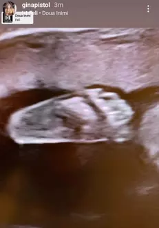 124105053-439247763764947-623286750540198037-n