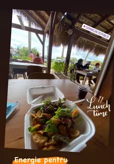 137627164-227772602227154-2596465476409381110-n