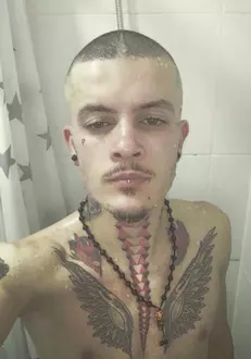 când se difuzează survivor