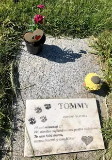 mihai-mitoseru-si-noemi-surprinsi-impreuna-2