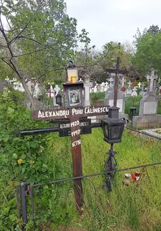 mormant-puiu-calinescu