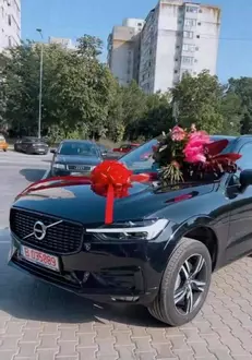 alex-leonte-surpriza-theo-rose-1