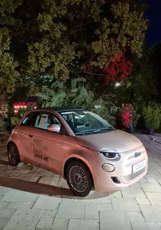 241655456_373909077625896_8078000236789457979_n