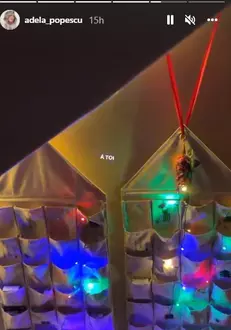 Adela-Popescu-brad-2