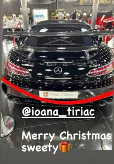 Cadoul lui Tiriac pentru fiica sa
