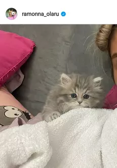 269951150_3055468914696721_260561957675986310_n