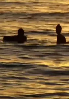 Laura Giurcanu in apa