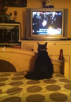 Casa lui Carmen Tanase