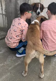 Copiii Cristinei Balan