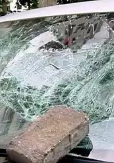 atacatoare-mirela-vaida