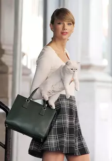 Taylor Swift Leaving TriBeCa Apartment with her Cat Olivia Benson