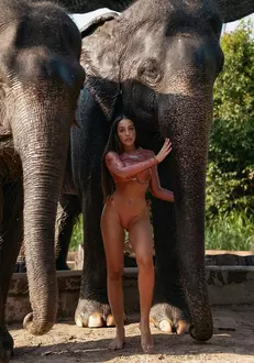 snapinsta.app_1080_326707069_122935030684409_3041617129674159595_n-1