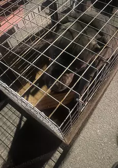 331774774_717033773255199_1260281768784582470_n