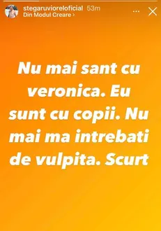 mesaj viorel stegaru