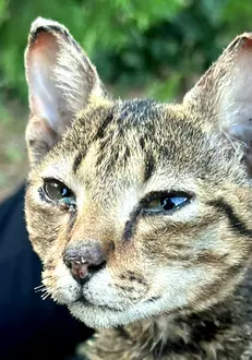 370285381_6683645818396336_4487623061370154546_n