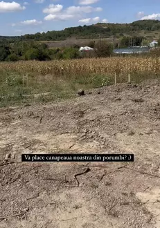 379924135_272903178898952_1973316624532170058_n