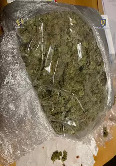 image-2023-09-15-26536150-0-canabis-ridicat-urma-perchezitiilor-facute-dosarul-lui-vlad-pascu-1