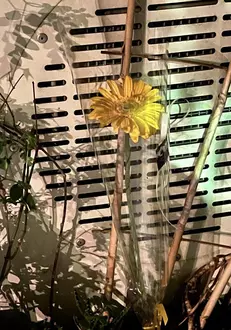 403891784_10159575112781640_7922220581554835381_n