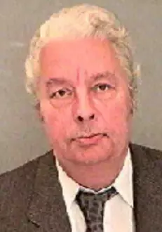 radu budeanu senior
