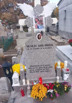 ana maria vasiliu mormant2